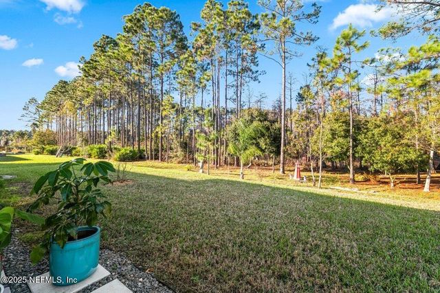 1917 AMBERLY Drive, Middleburg, FL 32068