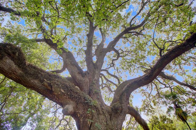 1119 Smithfield Place, Hanahan, SC 29410