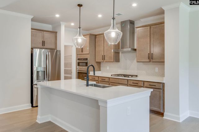 473 Rainbow Shad Way, Lexington, SC 29072