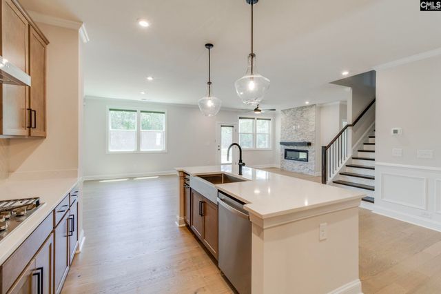 473 Rainbow Shad Way, Lexington, SC 29072