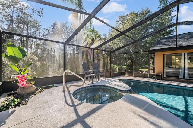 19607 WYNDHAM LAKES DRIVE, Odessa, FL 33556