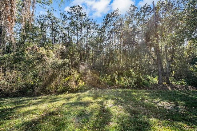 19607 WYNDHAM LAKES DRIVE, Odessa, FL 33556