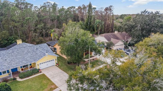 19607 WYNDHAM LAKES DRIVE, Odessa, FL 33556