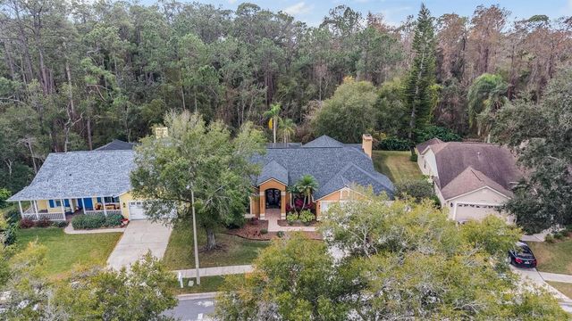 19607 WYNDHAM LAKES DRIVE, Odessa, FL 33556