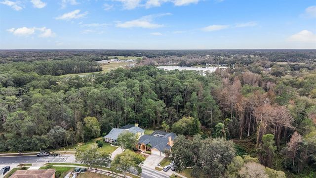 19607 WYNDHAM LAKES DRIVE, Odessa, FL 33556