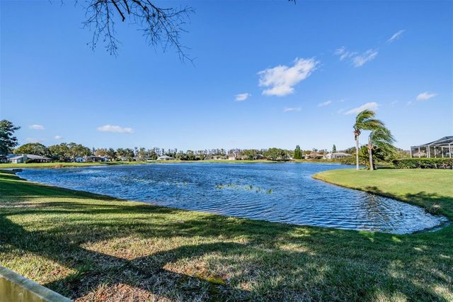 19607 WYNDHAM LAKES DRIVE, Odessa, FL 33556