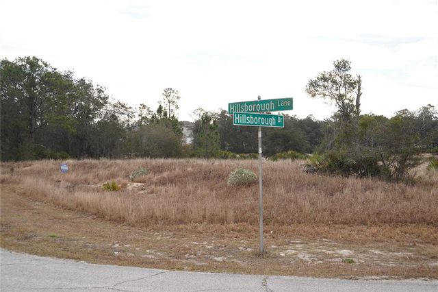 1319 HILLSBOROUGH LANE, Kissimmee, FL 34759