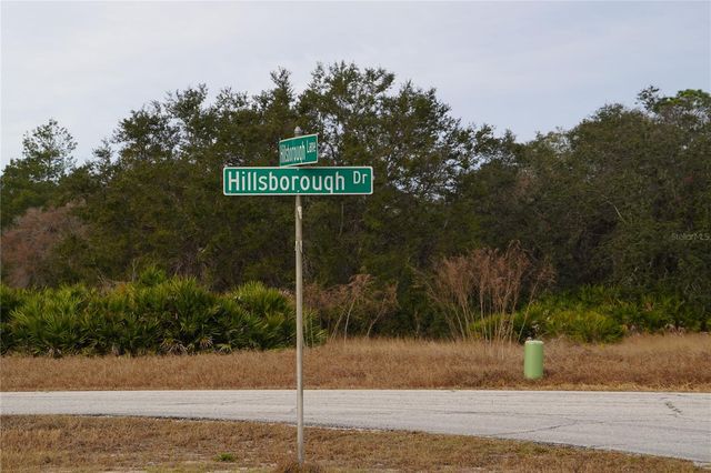 1319 HILLSBOROUGH LANE, Kissimmee, FL 34759