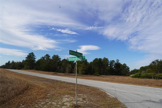 1319 HILLSBOROUGH LANE, Kissimmee, FL 34759