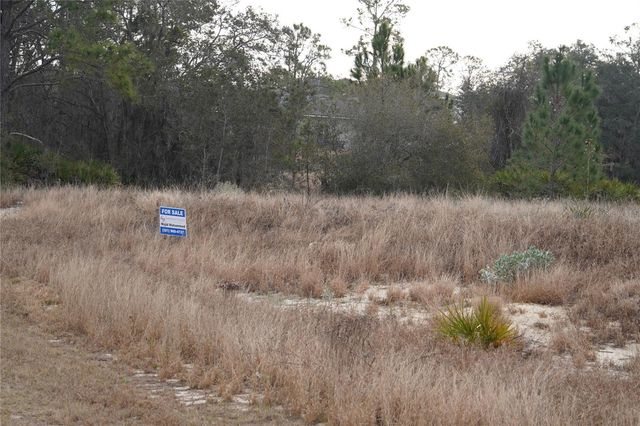 1319 HILLSBOROUGH LANE, Kissimmee, FL 34759