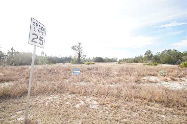 1319 HILLSBOROUGH LANE, Kissimmee, FL 34759