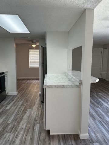 124 LOBLOLLY COURT F, Oldsmar, FL 34677