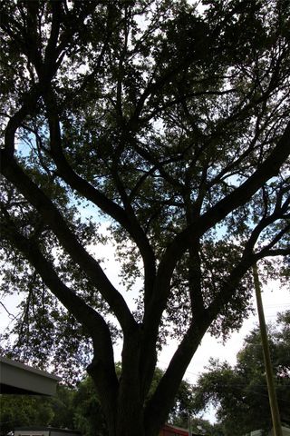 1704 Redwood Circle, Alvin, TX 77511