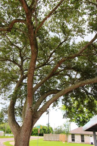 1704 Redwood Circle, Alvin, TX 77511