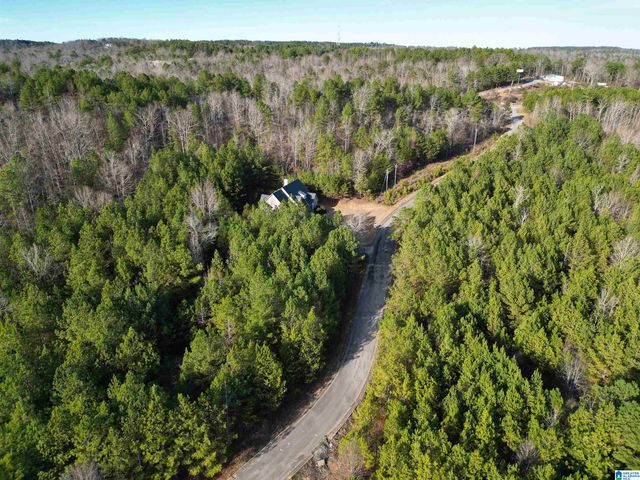 0 CLEVELAND FARMS PARKWAY, Pell City, AL 35125