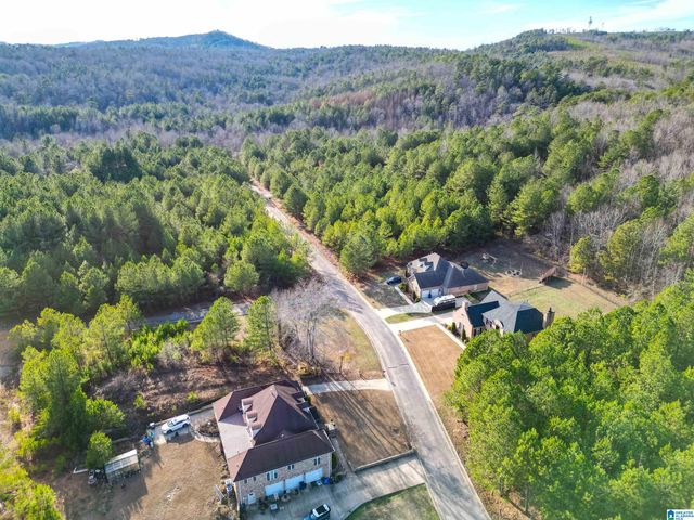 0 CLEVELAND FARMS PARKWAY, Pell City, AL 35125