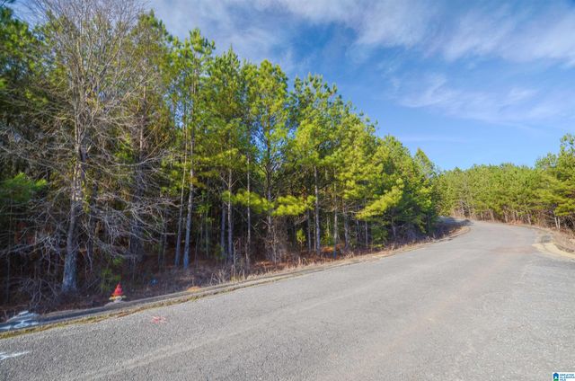 0 CLEVELAND FARMS PARKWAY, Pell City, AL 35125