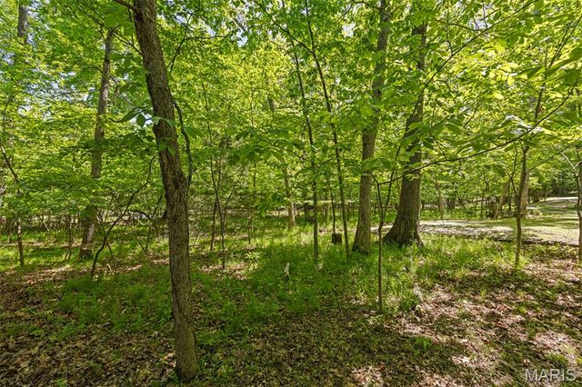 677 Whitetail Creek Drive, Innsbrook, MO 63390