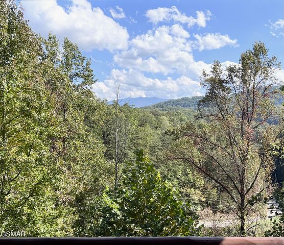 4319 Forest Ridge Way, Pigeon Forge, TN 37863