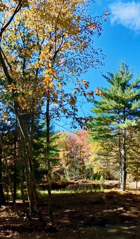 TBD McLucas Road Extensions, Waterboro, ME 04030 — photo 3