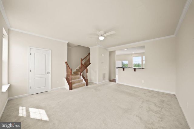 241 SCHRAMM LOOP, Stephens City, VA 22655