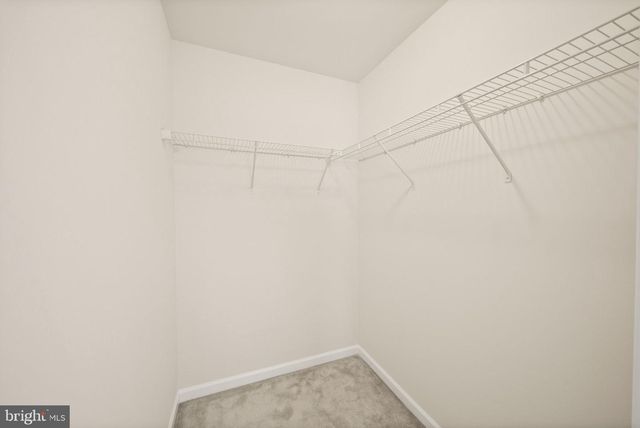 241 SCHRAMM LOOP, Stephens City, VA 22655