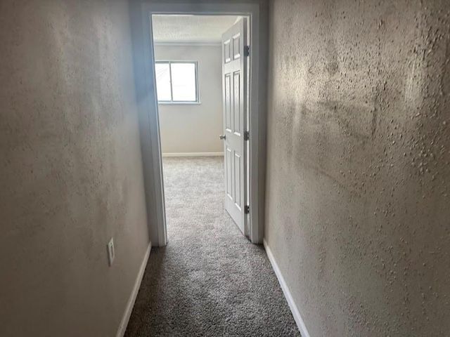 6618 Trigate Drive, Houston, TX 77489