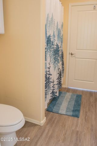 14229 E Via Cerro Del Molino, Vail, AZ 85641