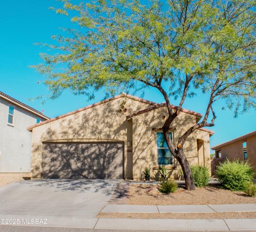 14229 E Via Cerro Del Molino, Vail, AZ 85641