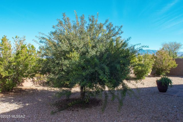 14229 E Via Cerro Del Molino, Vail, AZ 85641