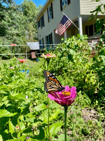 44 Buttercup Lane, Antrim, NH 03440