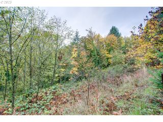 Sw SCHOLLS FERRY Rd, Portland, OR 97221