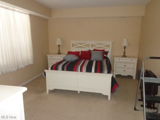 11541 Riverview Court 15, Parma Heights, OH 44130