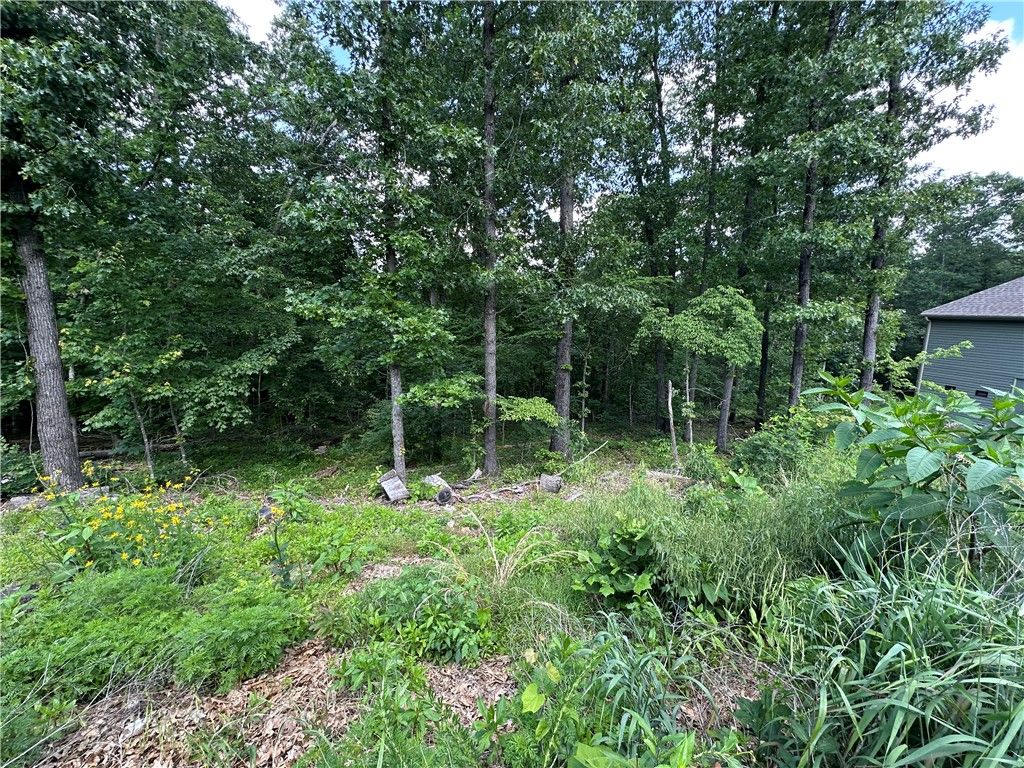 Lot 12 Cranfield Circle, Bella Vista, AR 72714