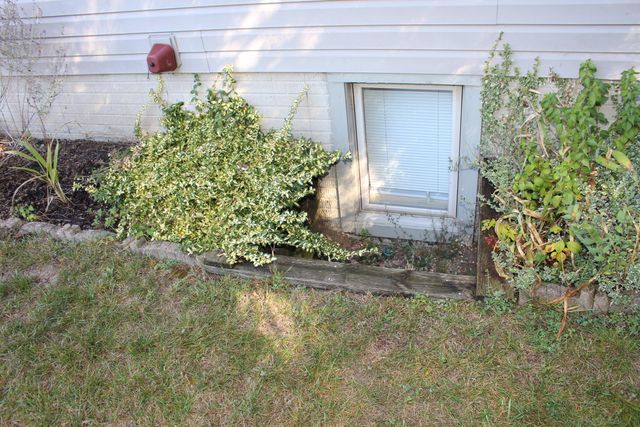 13197 Linda Vista Street, Belleville, MI 48111