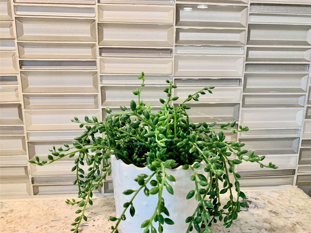 4012 Manifest LN 167, Austin, TX 78731