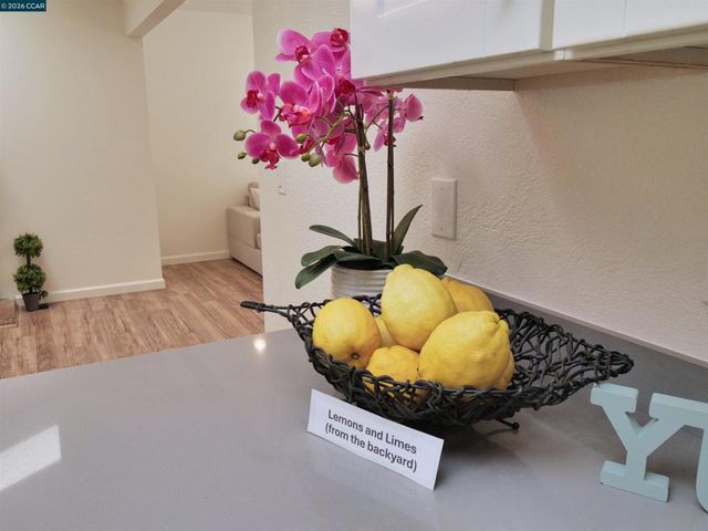 913 Seascape Cir, Rodeo, CA 94572