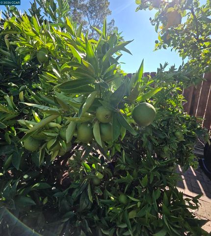 913 Seascape Cir, Rodeo, CA 94572