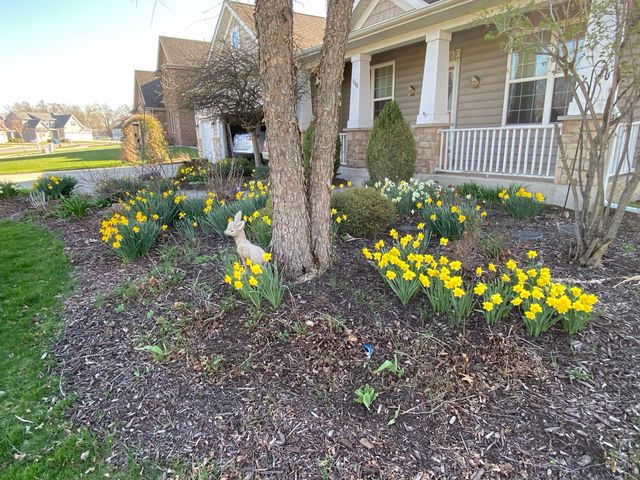 1144 Mary Ellen Drive, Crown Point, IN 46307