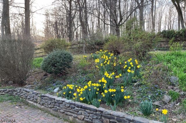 160 Spring Hill Rd, Montgomery Twp., NJ 08558