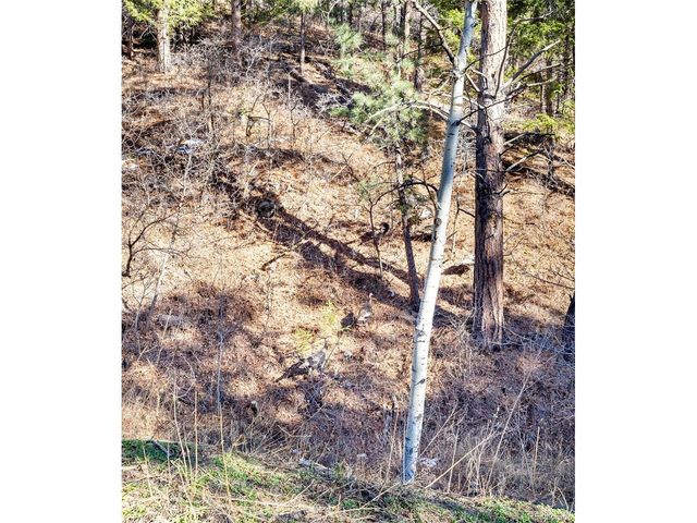 9079 S Murphy Gulch Rd, Littleton, CO 80127