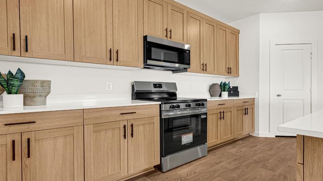 1450 Whimbrel Court, Beasley, TX 77417
