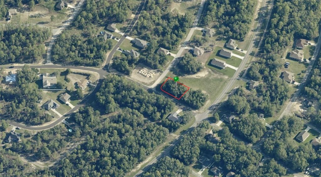 10655 N DRAGONIS DRIVE, Citrus Springs, FL 34434