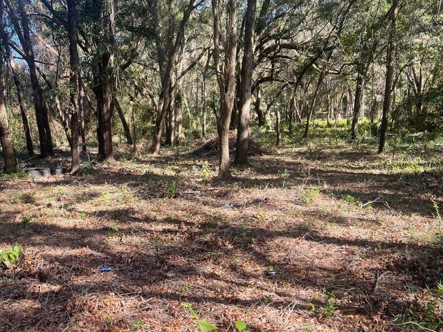 0 SE 130 STREET, Belleview, FL 34420