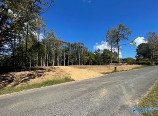 2 Acres Mount Carmel Drive, Guntersville, AL 35976