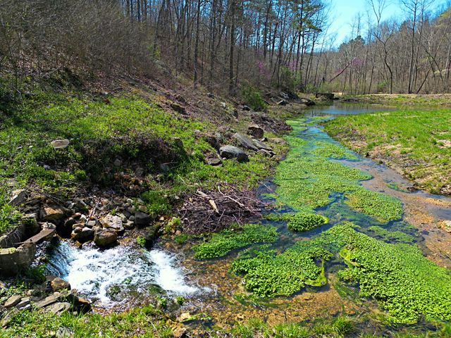 25598 C-228 Tract 1, Norwood, MO 65717