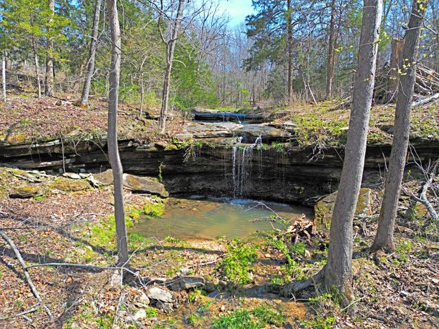 25598 C-228 Tract 1, Norwood, MO 65717