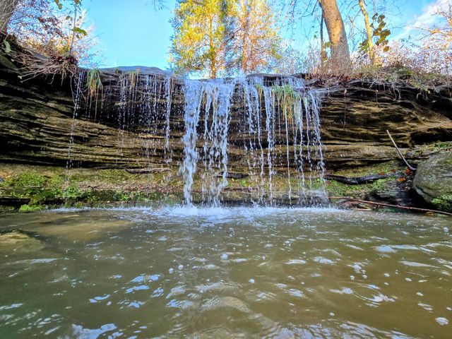 25598 C-228 Tract 1, Norwood, MO 65717