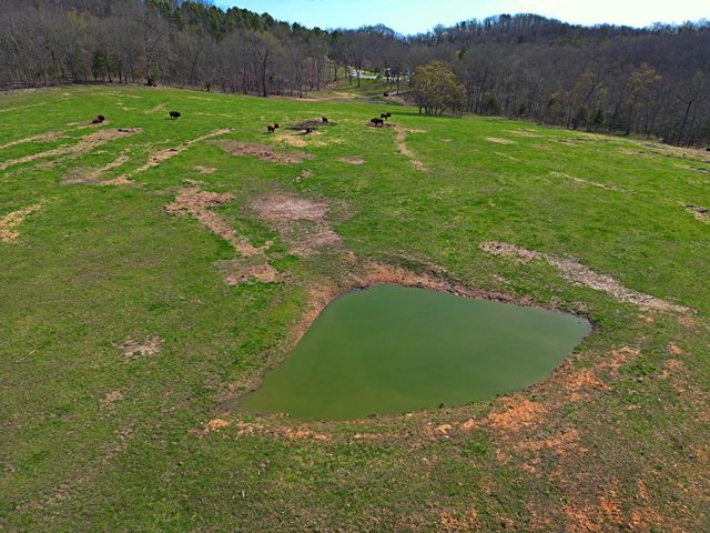 25598 C-228 Tract 1, Norwood, MO 65717