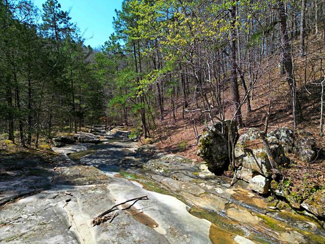 25598 C-228 Tract 1, Norwood, MO 65717